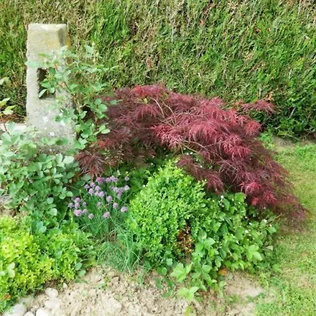 De Charme Avec Terrasse Près De Bourbonne-les-bains, 2 Chambres, Poêle à Bois, Wifi Inclus - Fr-1-589-118