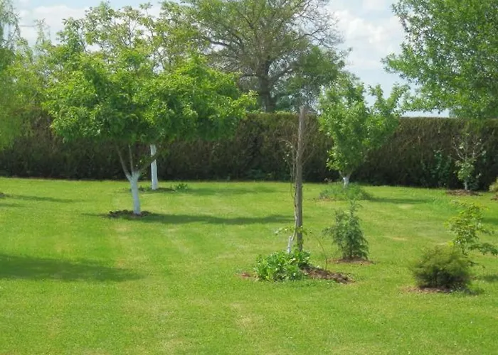 Hébergement de vacances De Charme Avec Terrasse Près De Bourbonne-les-bains, 2 Chambres, Poêle à Bois, Wifi Inclus - Fr-1-589-118 *