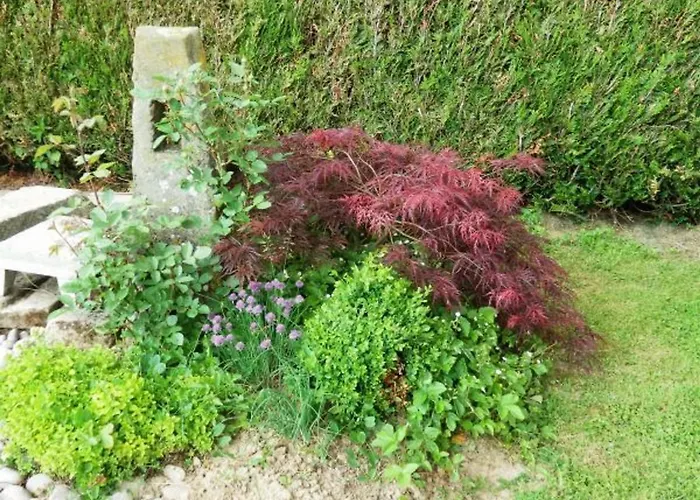 De Charme Avec Terrasse Près De Bourbonne-les-bains, 2 Chambres, Poêle à Bois, Wifi Inclus - Fr-1-589-118